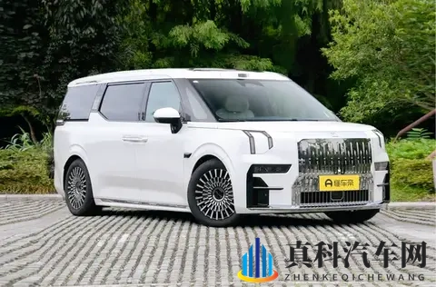 800V快充＋双腔空悬+CCD減振，极氪009七座过道版可商可家超实用-3