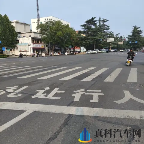从斑马线礼让行人看路权之争:既是守法也是生存智慧-3