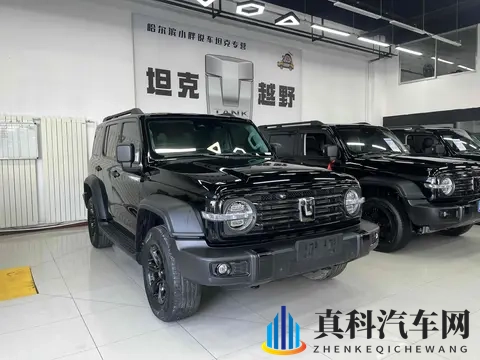 准新坦克300：2万公里，圆你越野梦！-1