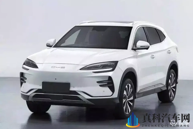 年轻漂亮的 子AV:汽车设计新风尚,科技与美学的完美融合-1