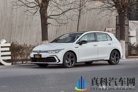 预算 10 万想捡漏?新能源 “烂尾车” 能不能买?-2