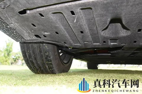 同样坐车:有人恶心想吐,有人毫无感觉?晕车真相和你想的不一样-1