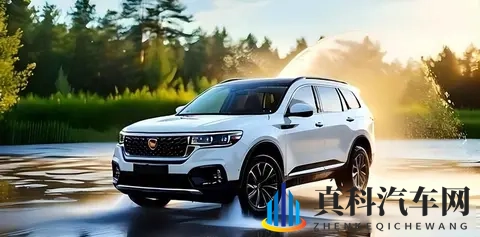 品质不及欧美？环境逼出真本事，俄媒评:中国车耐用度为德系一半-2