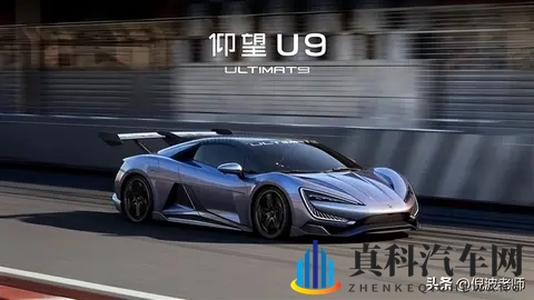 磷酸铁锂与三元锂孰优孰劣?用户选购新能源车应看清楚电池类型!-2