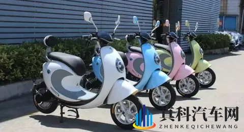 中国电动车的世界奇迹：廉价革命背后的双刃剑-1