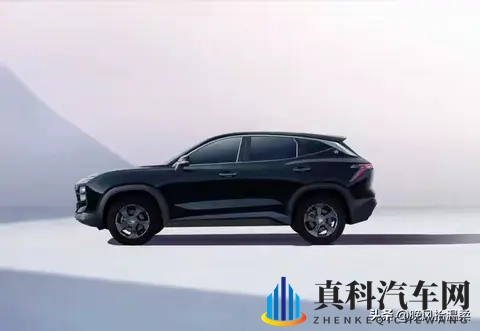 男生女生搓搓：汽车文化交流盛宴，男女精英共话未来-1