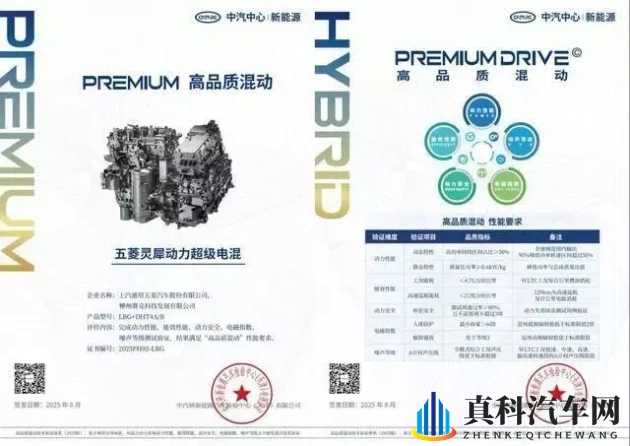 火影忍者成人动漫:忍术激战,青春成长,动漫世界再现青春风采-1