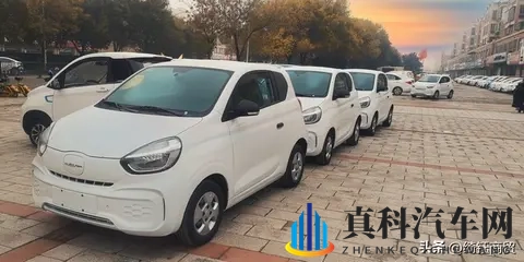 好色先生传媒：色彩斑斓传媒界，魅力独具好色风-2