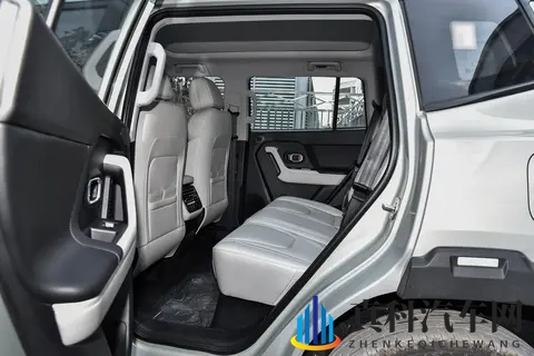 15T插混SUV,两驱还是四驱?山海T1 2025款怎么选?-2